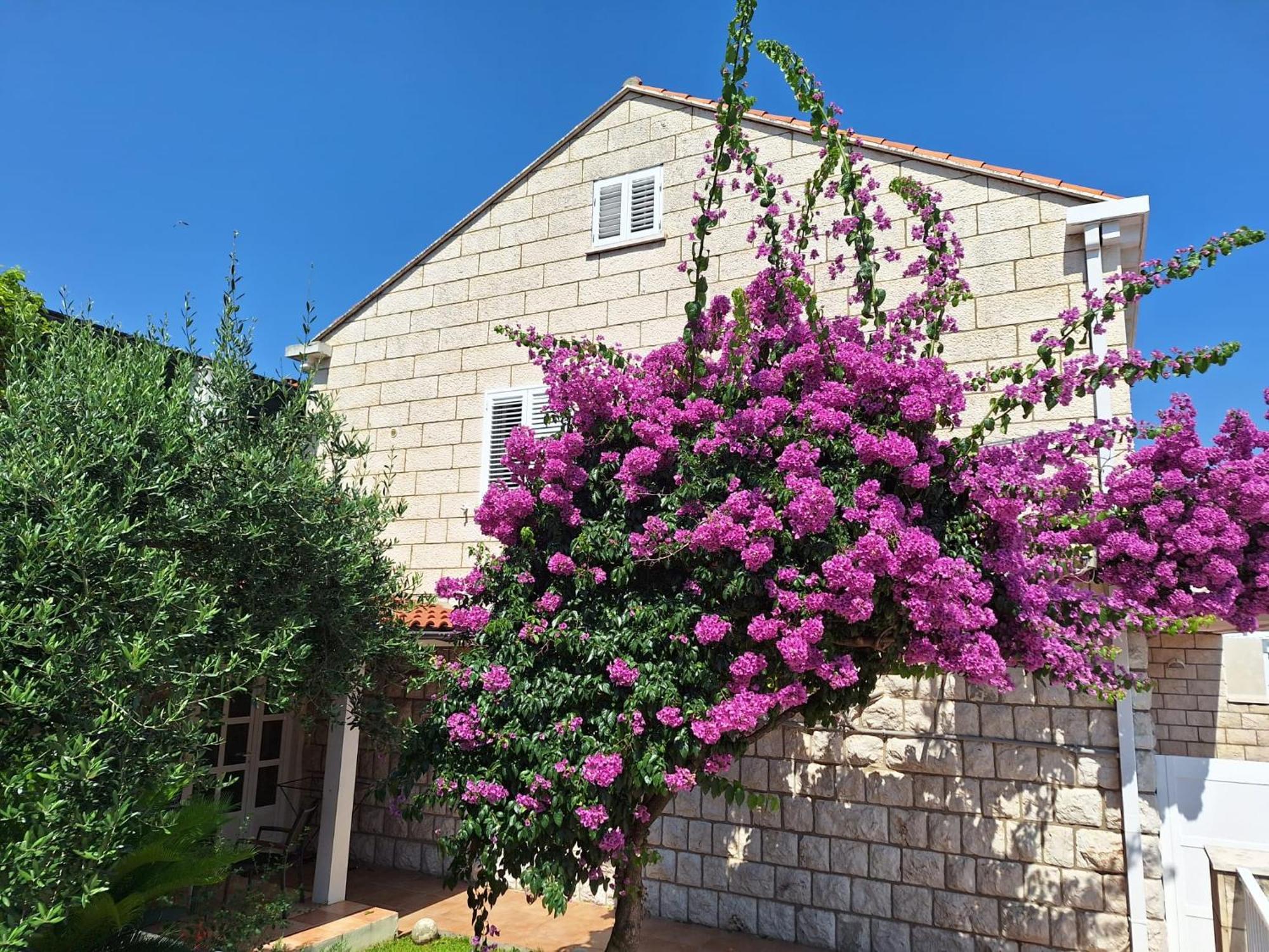 Blue Promenade Apartments Dubrovnik Dış mekan fotoğraf